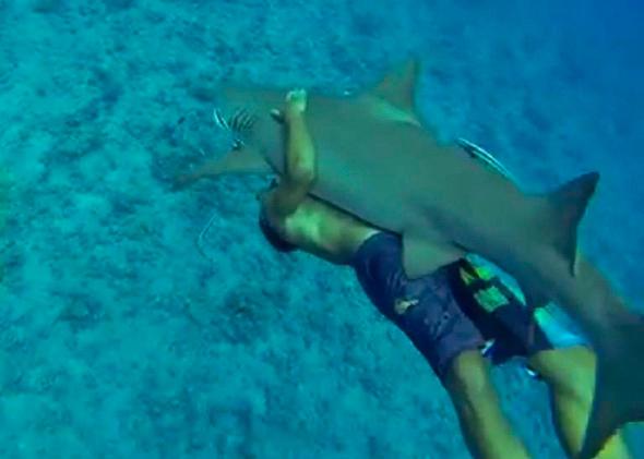 Bora Bora – Unique Environment 4 Riding-A-Lemon-Shark-Bora