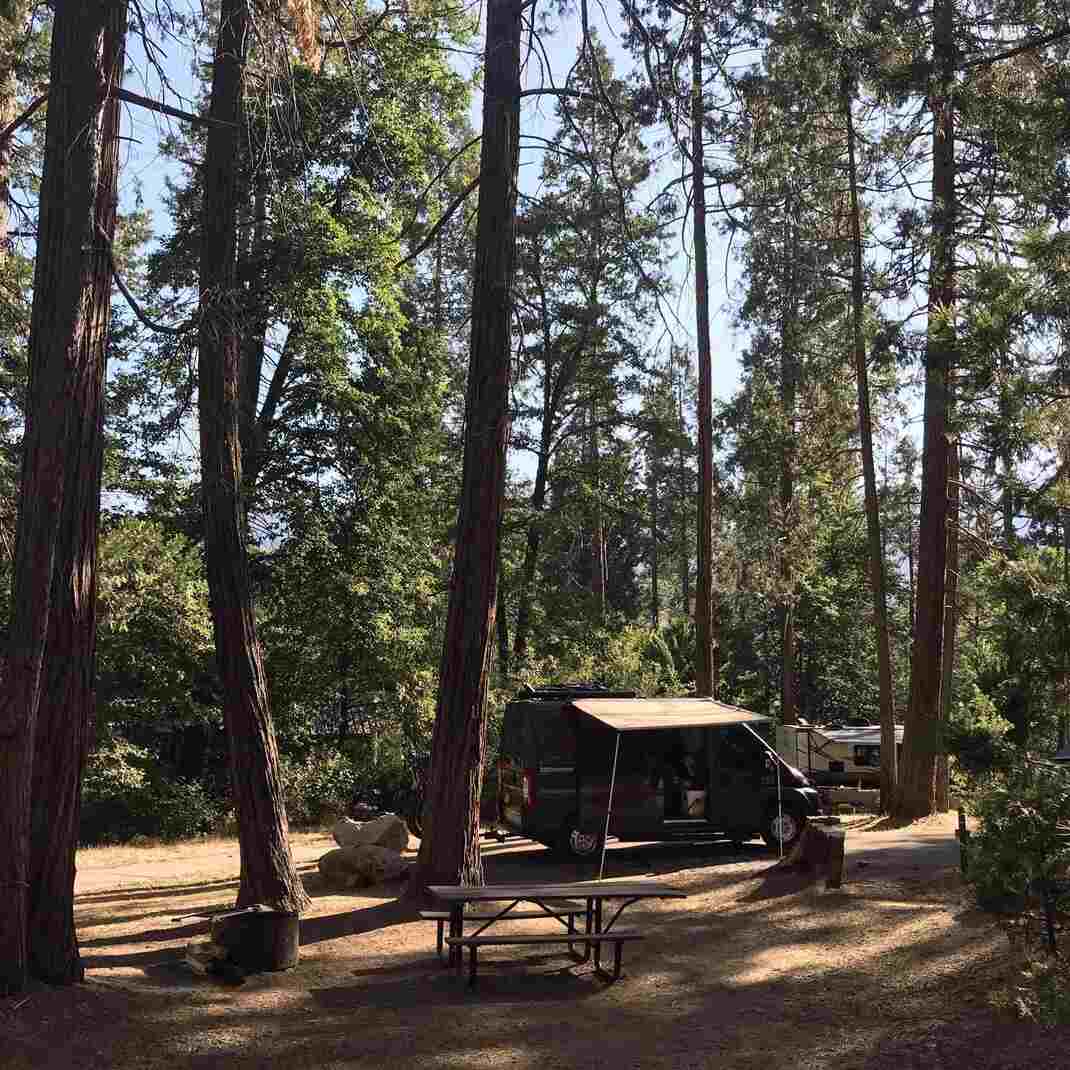 Discover The Serenity Of Bass Lake Camping At Forks Campground In 2024