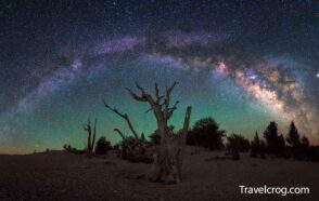 Milkyway At Ancient Bristlecone Pine Forest