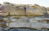 Pennsylvanian Shale Limestone deposits Payson