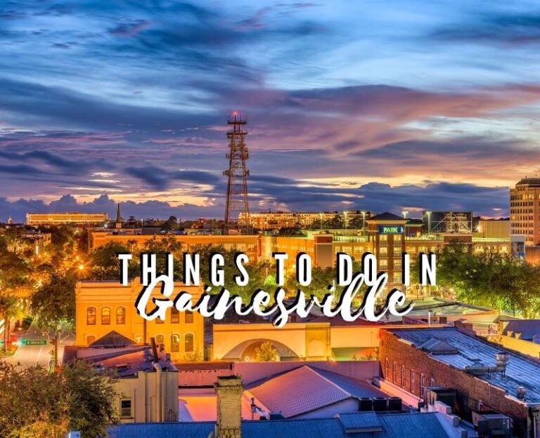 15 Fun Things To Do In Gainesville, Florida - Travel Crog