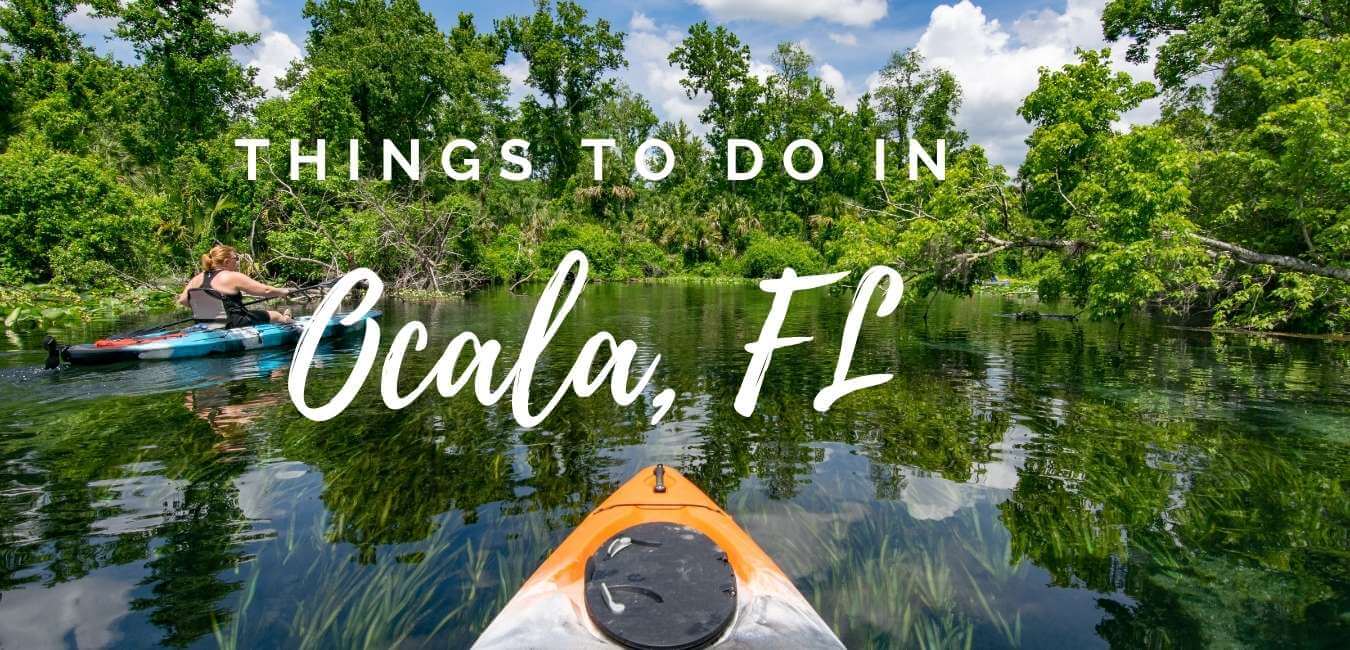 15 Best Things To Do In Ocala, FL
