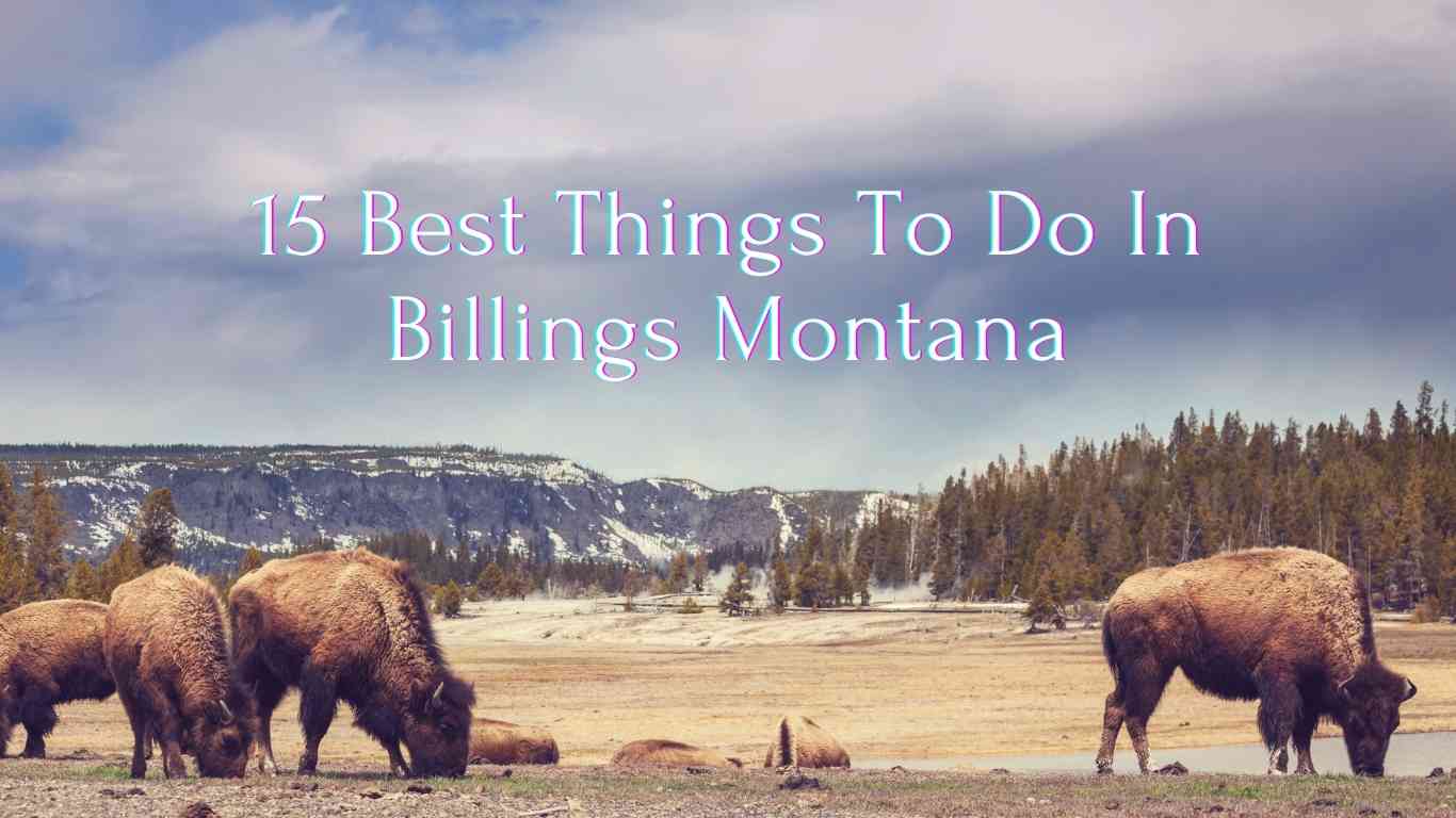 15 Best Things To Do In Billings Montana