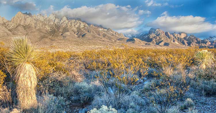 Organs Mountains-Desert Peaks National Monument