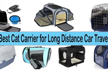 Best Cat Carrier For Long Distance Car Travel