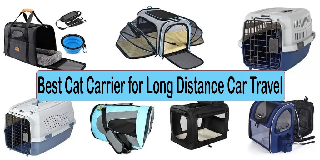 10 Best Cat Carrier For Long Distance Car Travel