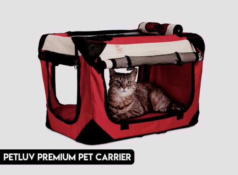 10 Best Cat Carrier For Long Distance Car Travel of 2024