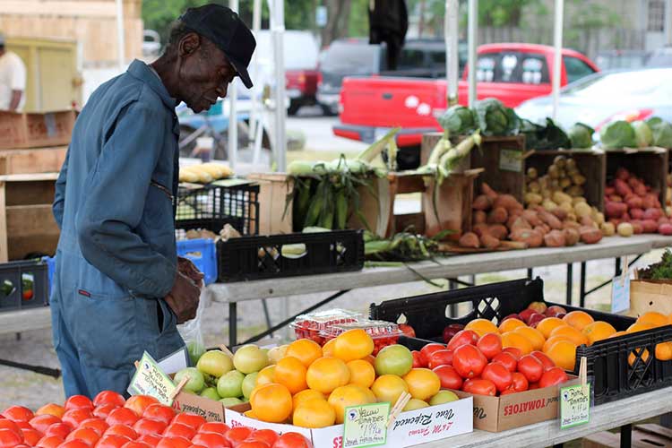 North Conway Farmers' Market