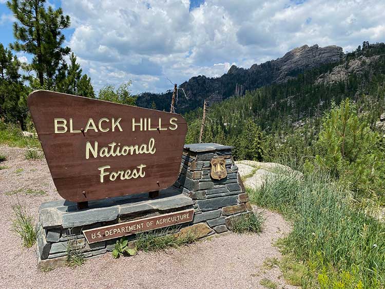 Black Hills National Forest