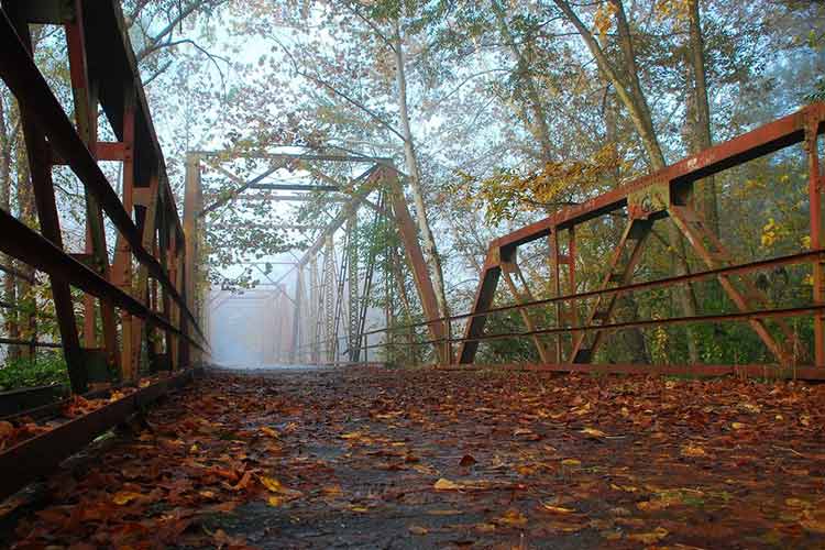 Edwin M. Griffin Nature Preserve