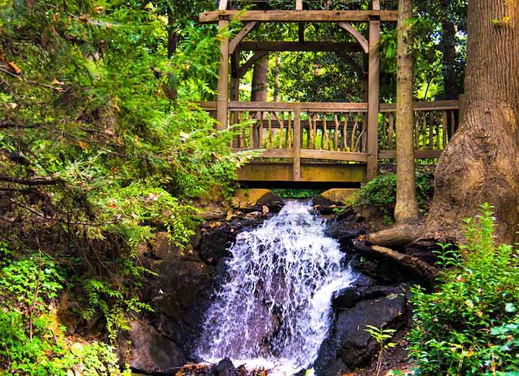 Hatcher Garden & Woodland Preserve