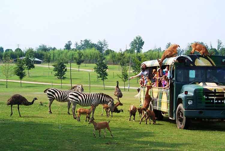 Hollywild Animal Park