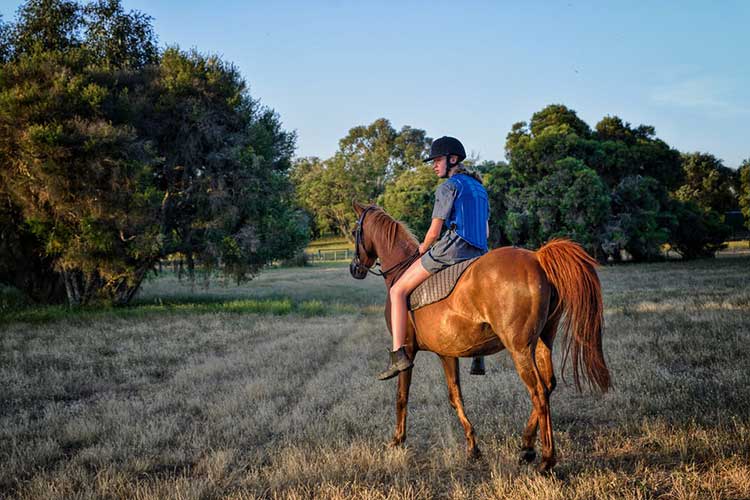 Horseback Riding