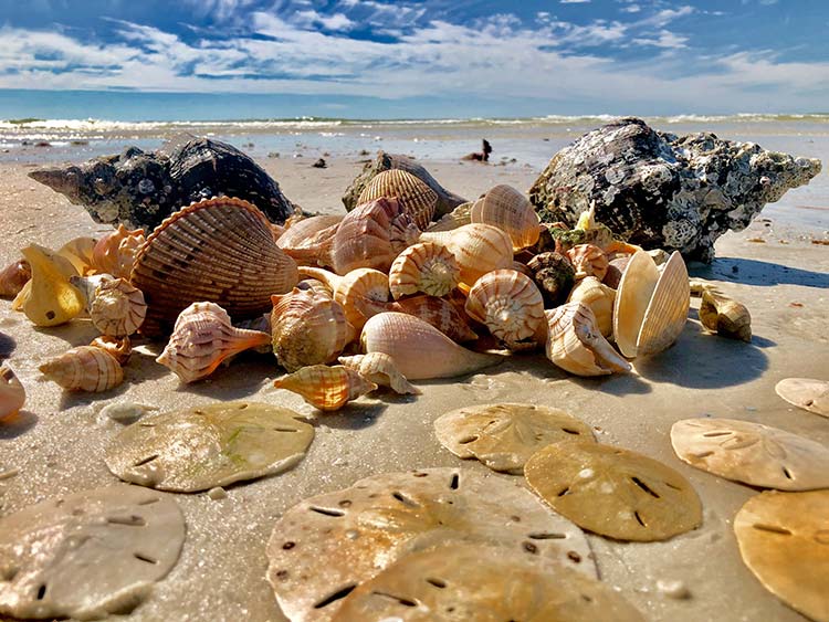 Ten Thousand Islands National Wildlife Refuge