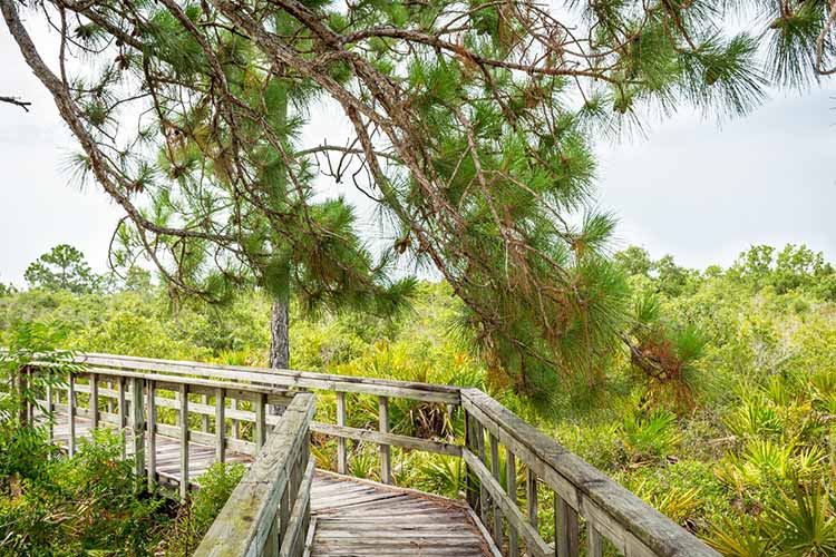 The Briggs Nature Center