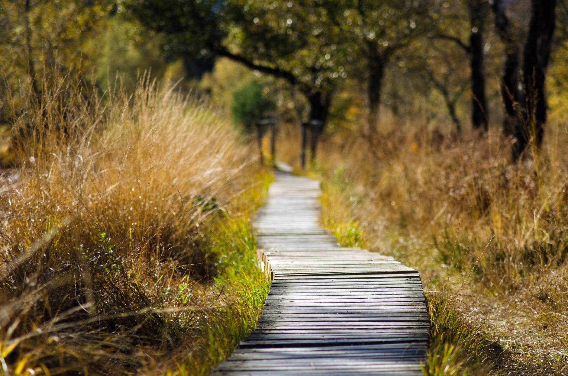 Douglas State Trail