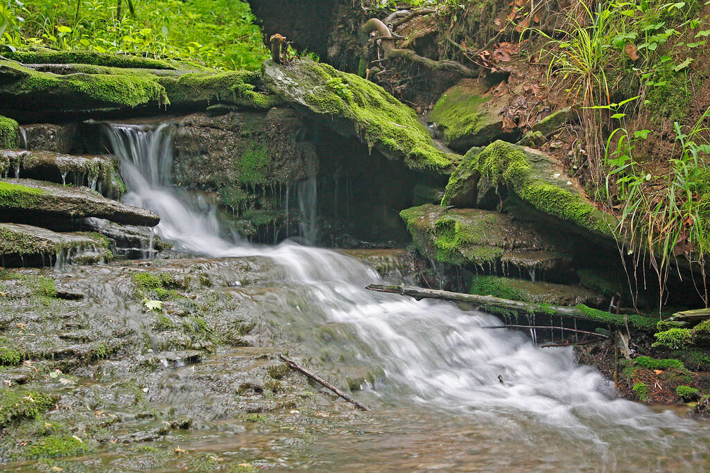 Raven Run Nature Sanctuary