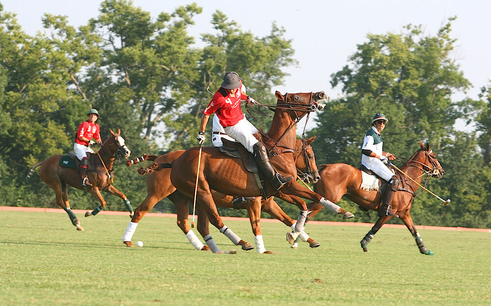 Kentucky Horse Park