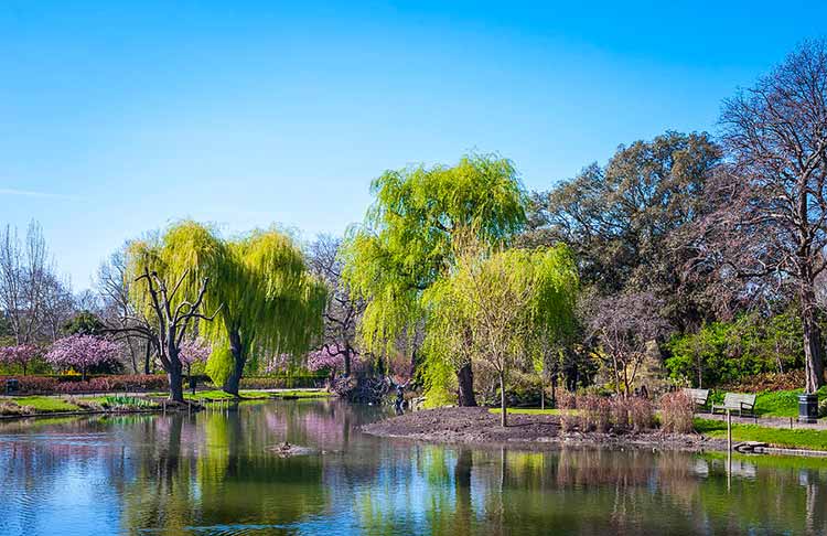 Regent's Park