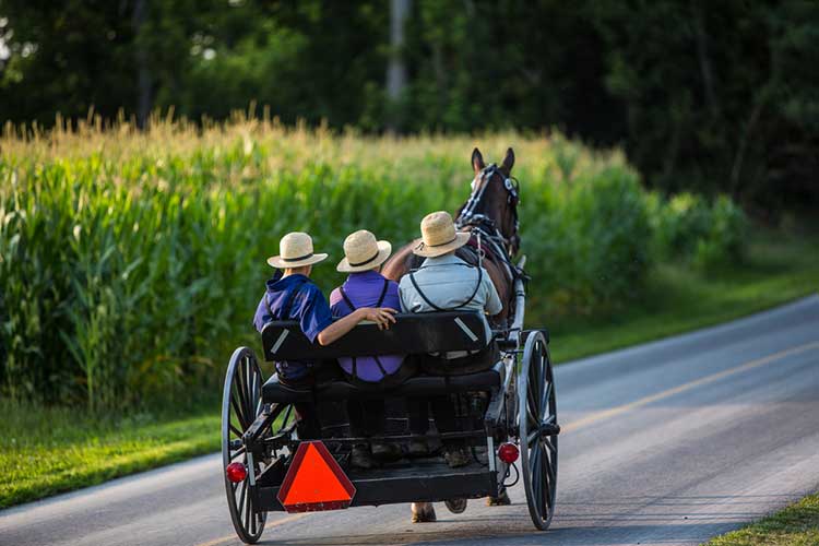 Amish Tours Of Harmony