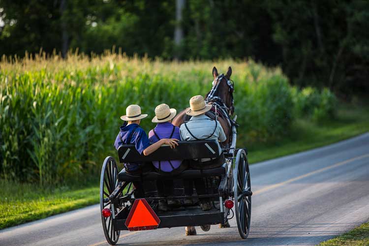 Amish Tours of Harmony