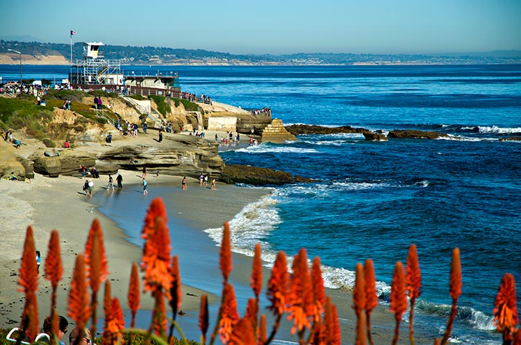 La Jolla Shores Park