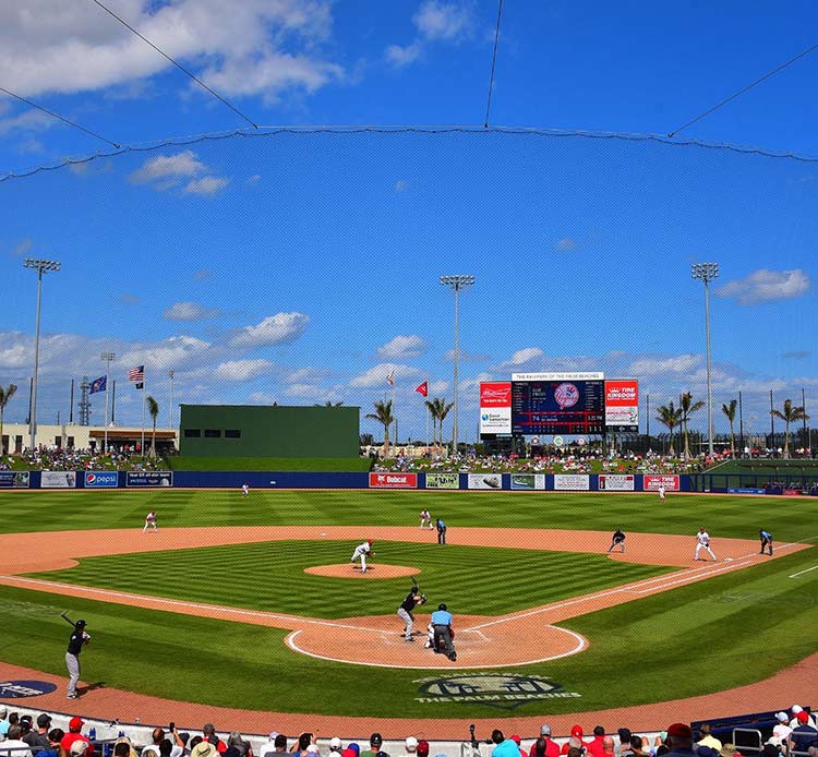 The Ballpark