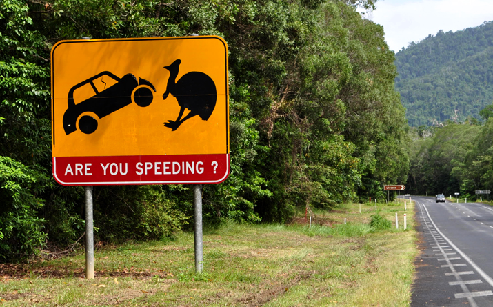 Cassowary Walk Sign