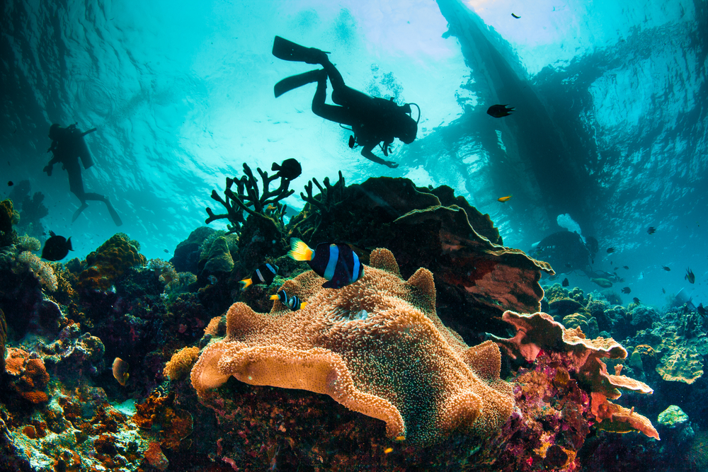 Great Barrier Reef Snorkeling