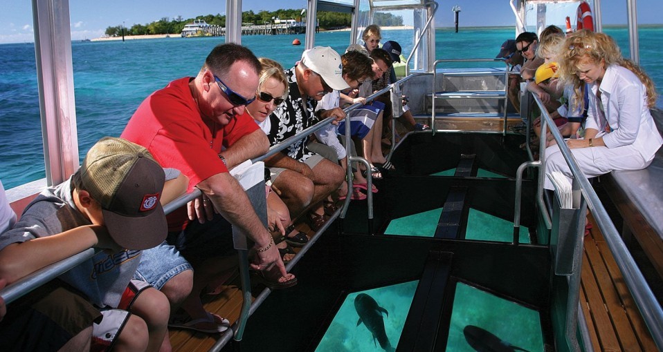 Great Barrier Reef Tours