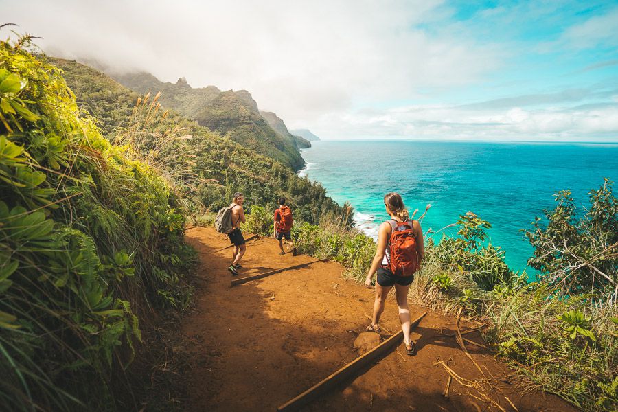 Hike on the Famous Walking Tracks