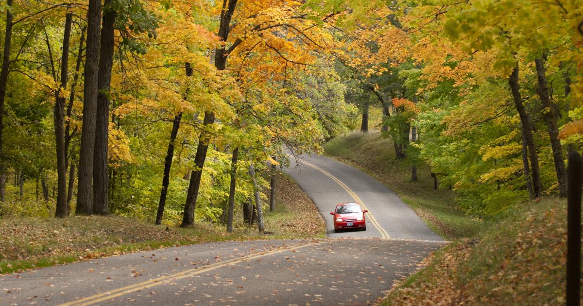 Nice Drive and the Autumn Leaves