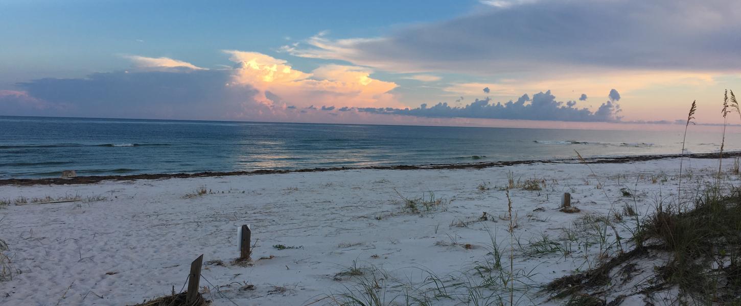 St. George Island State Park