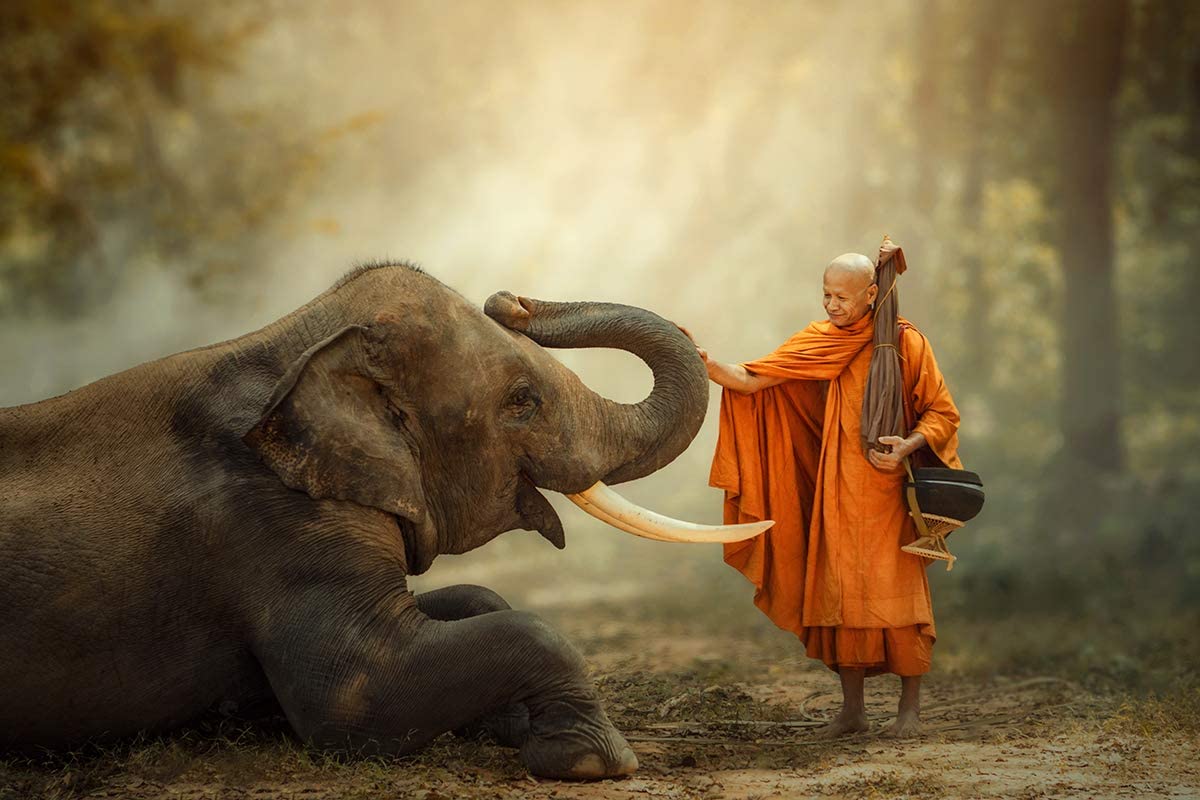 Thailand Elephant And Monks