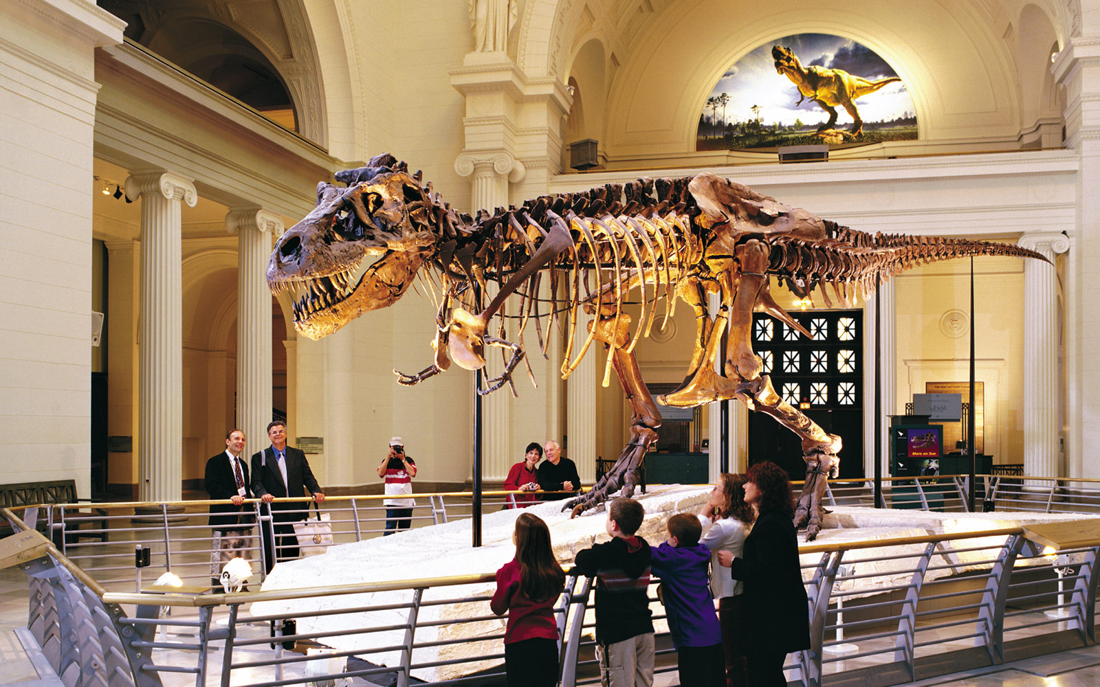 The Georgia Museum Of Natural History
