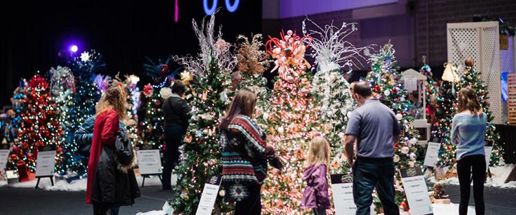 Festival of Trees