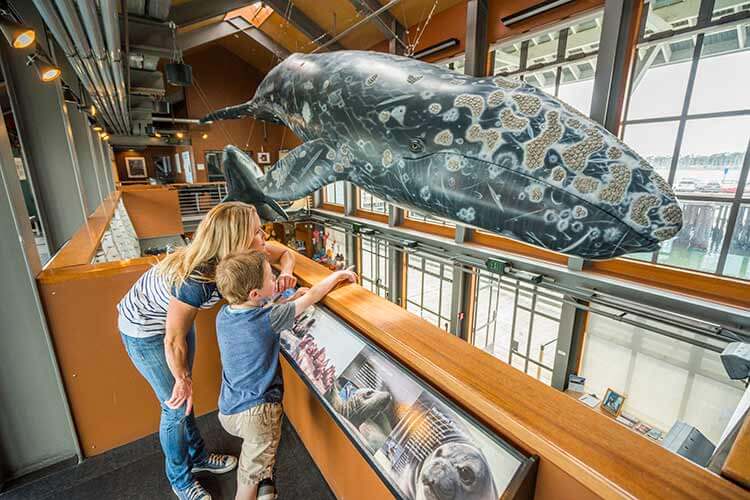 Santa Barbara Museum of Natural History