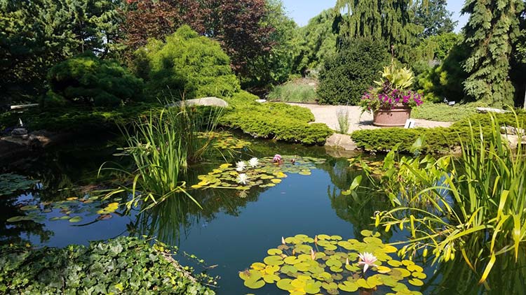 Quad City Botanical Center, Rock Island