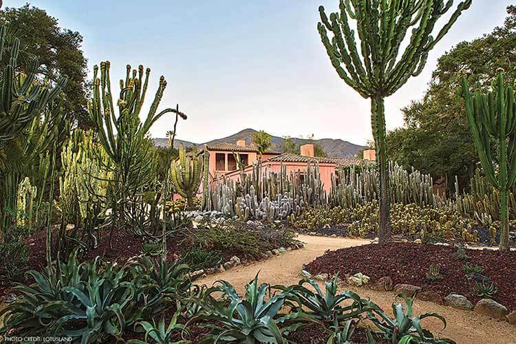 Santa Barbara Botanic Garden