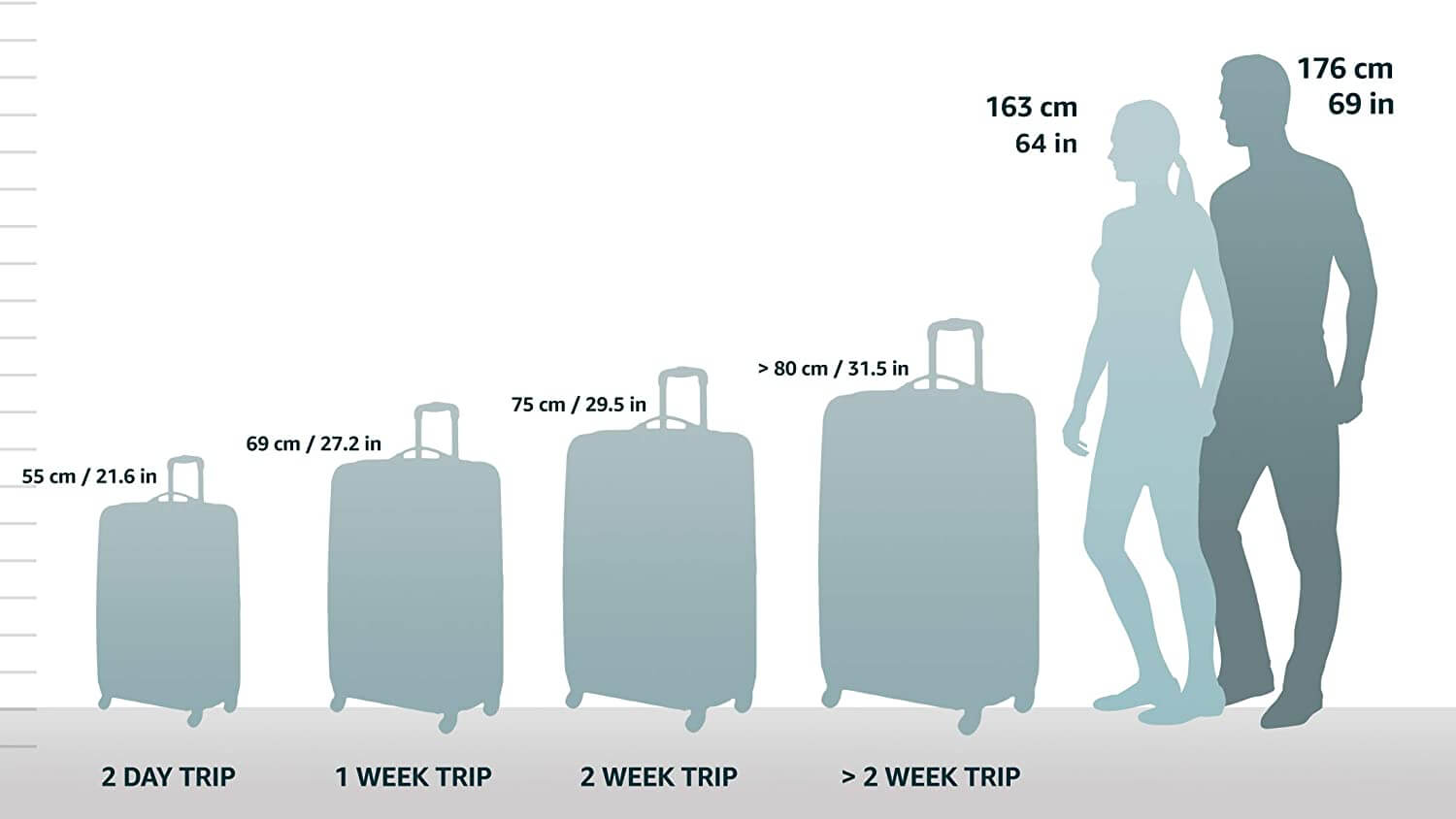 Amazon Basics Ripstop Rolling Travel Luggage Duffle Bag