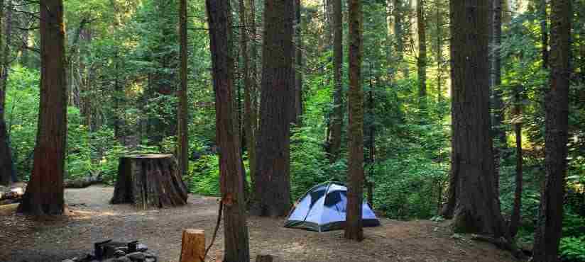 Crane valley group campground