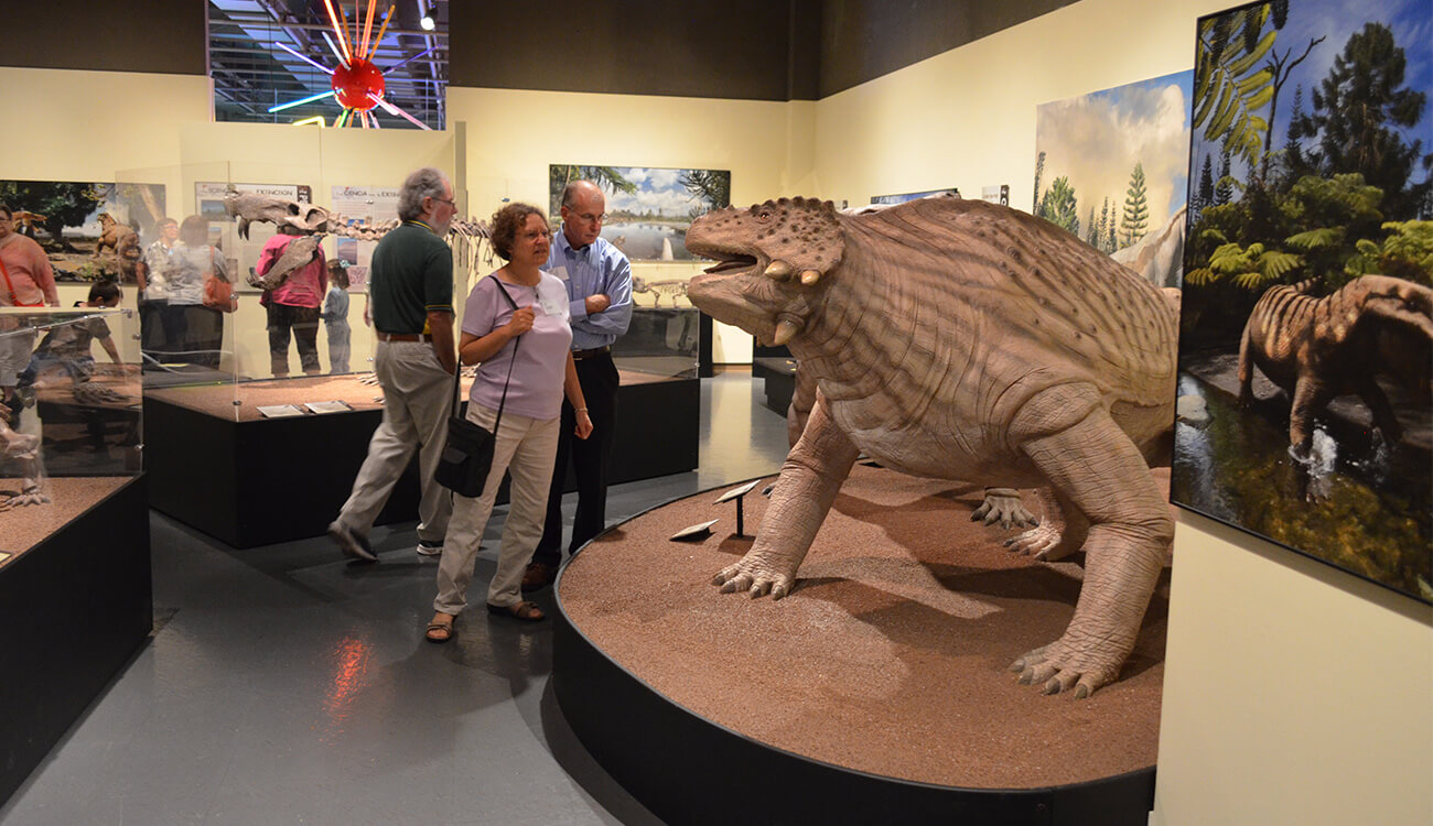 Florida Museum Of Natural History