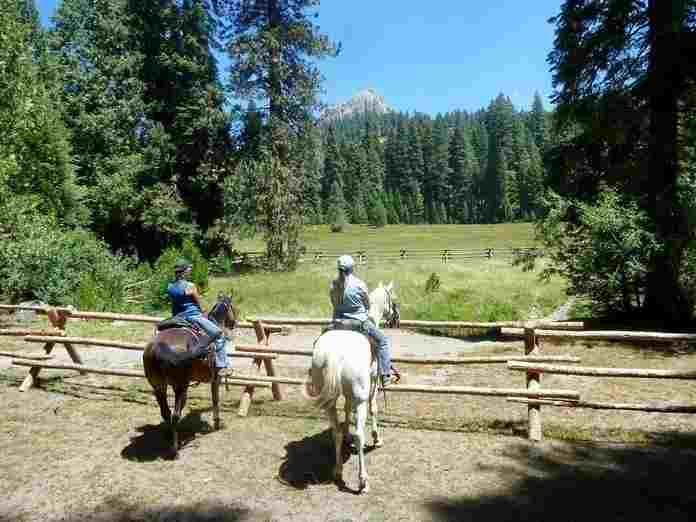 Kelty Meadow Campground