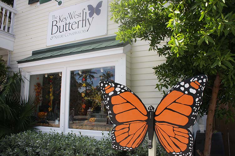 3. Key West Butterfly And Nature Conservation