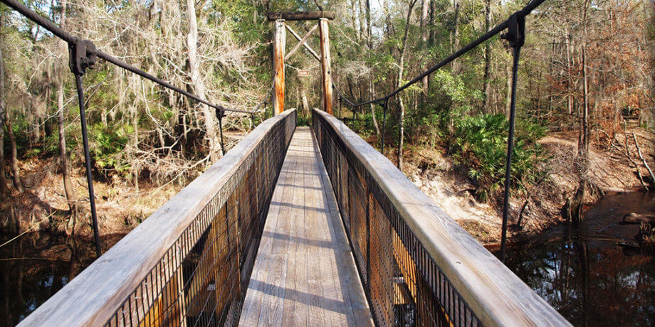 Loblolly Woods Nature Park