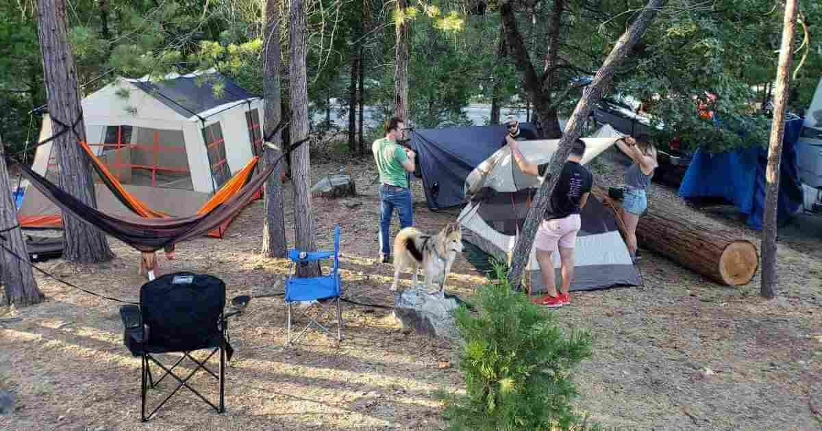 Lupine Campground