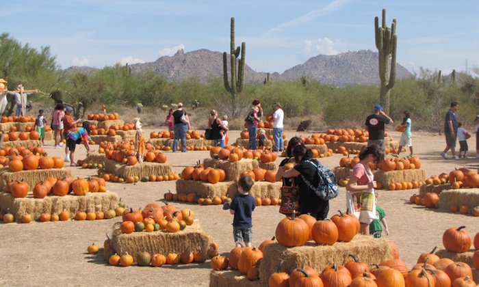 Things To Do In Arizona - Top 24 Things To Do In Arizona 17 Macdonald’s Ranch Annual Pumpkin Patch