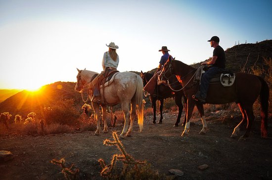 Macdonald'S Ranch - Best Horseback Rides In Phoenix
