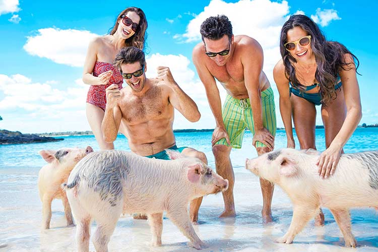 Swimming-Pigs-Bahama
