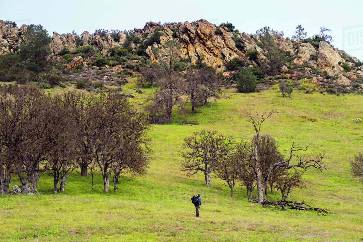 Kelly Lake: Henry W. Coe State Park